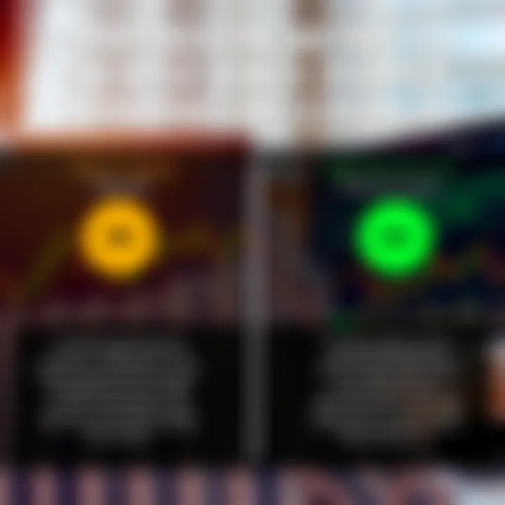 Graphical comparison of demo trading account features versus real Forex account characteristics